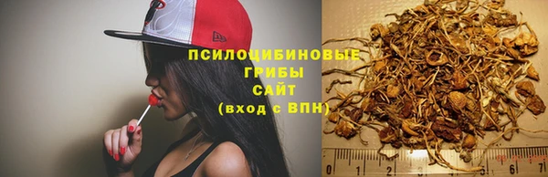 спиды Ростов