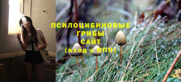 эйфоретик Балахна